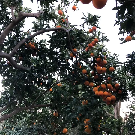 فندق مبيت وإفطار Caterina